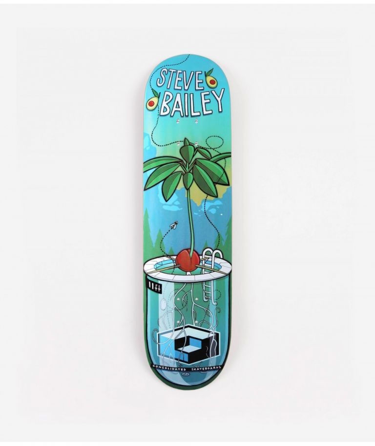 Skate Deck