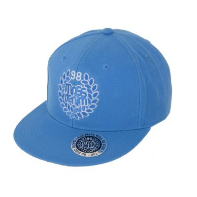 Fitted Cap MassDNM