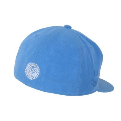 Fitted Cap MassDNM